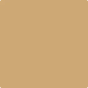 1103: Camel Back  by Benjamin Moore