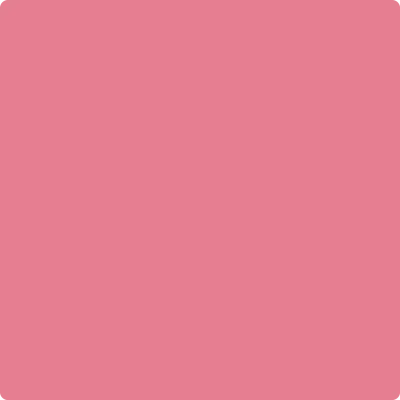 2004-40: Pink Starburst by Benjamin Moore