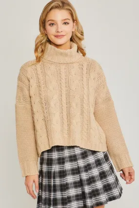 Cable Knit Turtleneck Sweater