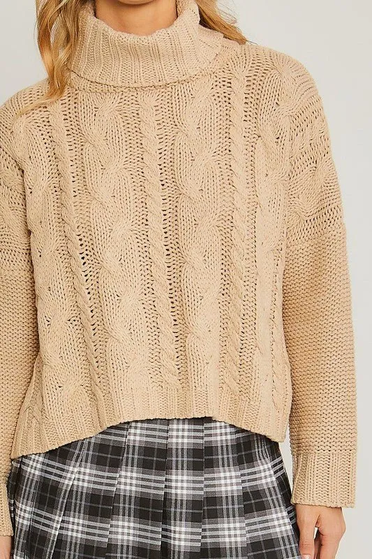 Cable Knit Turtleneck Sweater