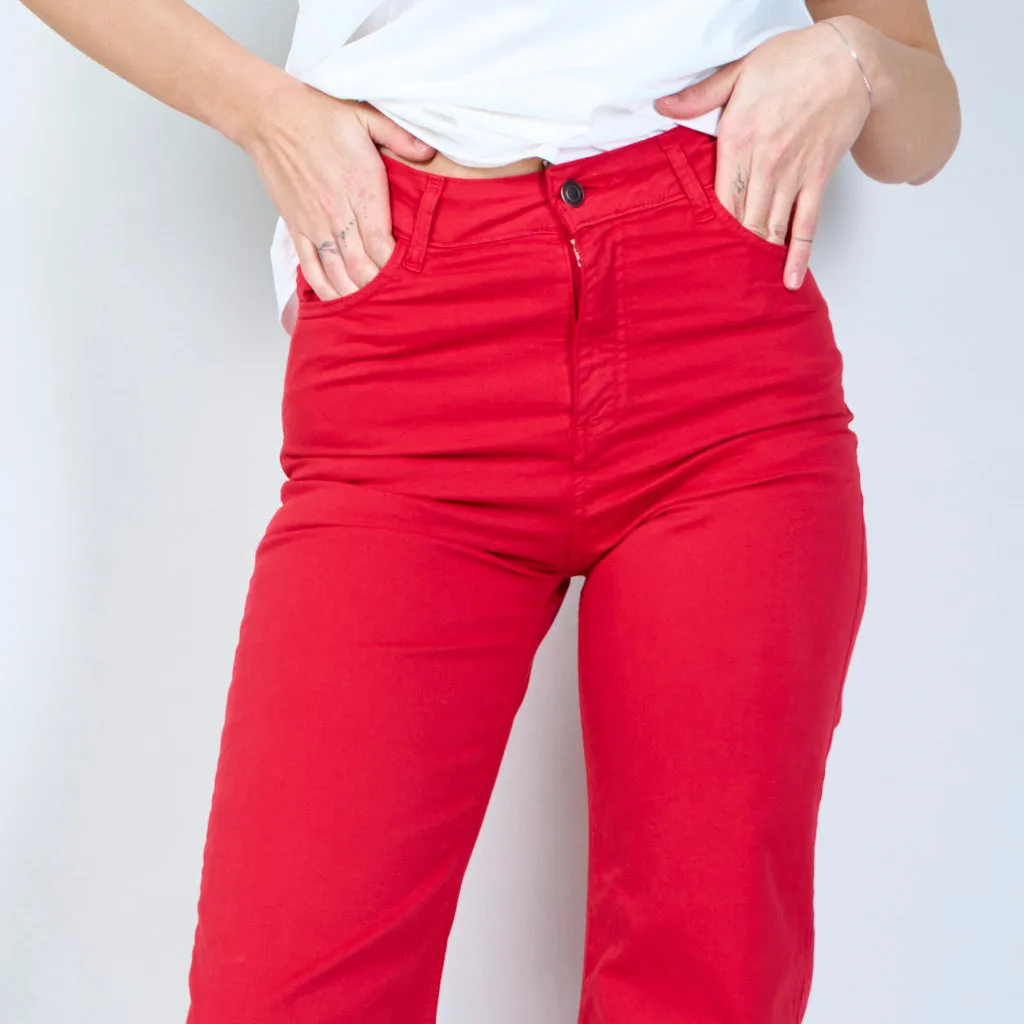 Casual Frayed Hem  trousers wholesale