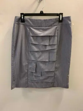 CHELSEA & THEODORE Dresses and Skirts Size 12 SLATE BLUE MINI Skirt